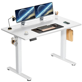 WoodWise Electric Adjustable Sit/Stand Standing Desk - Shop WoodWise