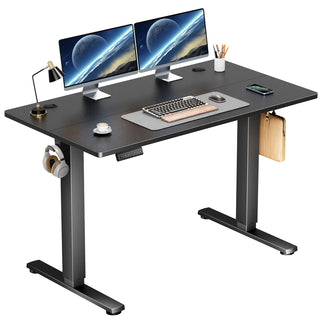 WoodWise Electric Adjustable Sit/Stand Standing Desk - Shop WoodWise